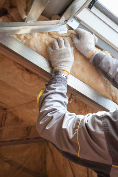 Best Basement Insulation  in Woodmoor, CO