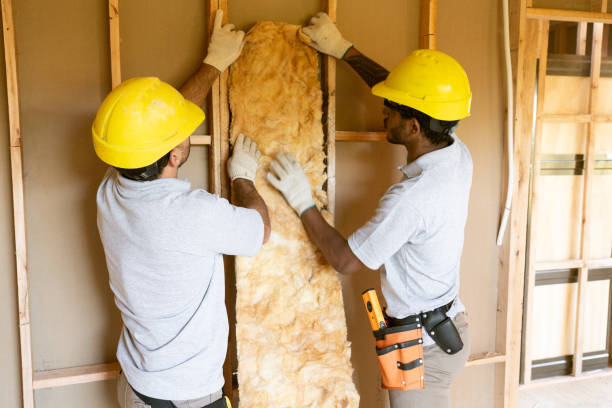 Best Insulation Air Sealing  in Woodmoor, CO